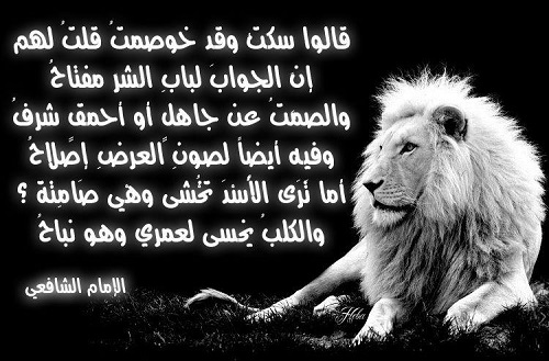  شعر الشافعي الاسد تخشى وهي صامته والكلب نباح